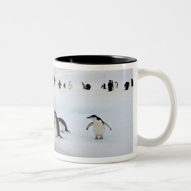 Caneca De Café Em Dois Tons Pinguins-de-barbicha (Direita)
