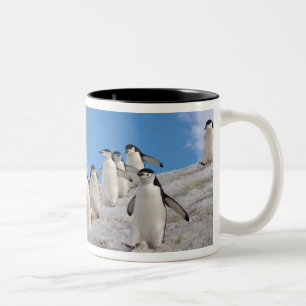 Caneca De Café Em Dois Tons Pinguins-de-barbicha Pygoscelis Antarctica