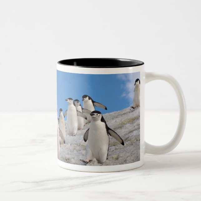 Caneca De Café Em Dois Tons Pinguins-de-barbicha | Pygoscelis Antarctica (Direita)