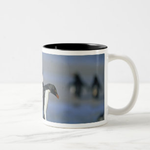 Caneca De Café Em Dois Tons Pinguins Rockhopper, Eudyptes chrysocome),