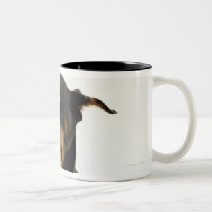 Caneca De Café Em Dois Tons Pinscher 2 do Doberman