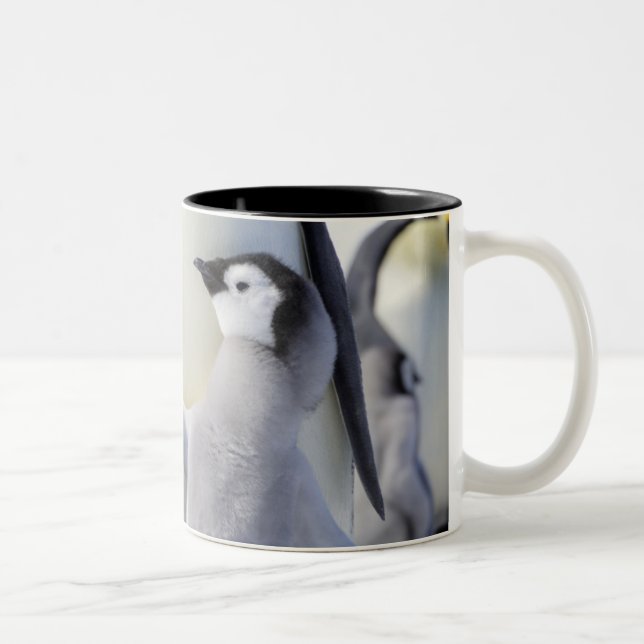 Caneca De Café Em Dois Tons Pintinho do pinguim de imperador (Direita)