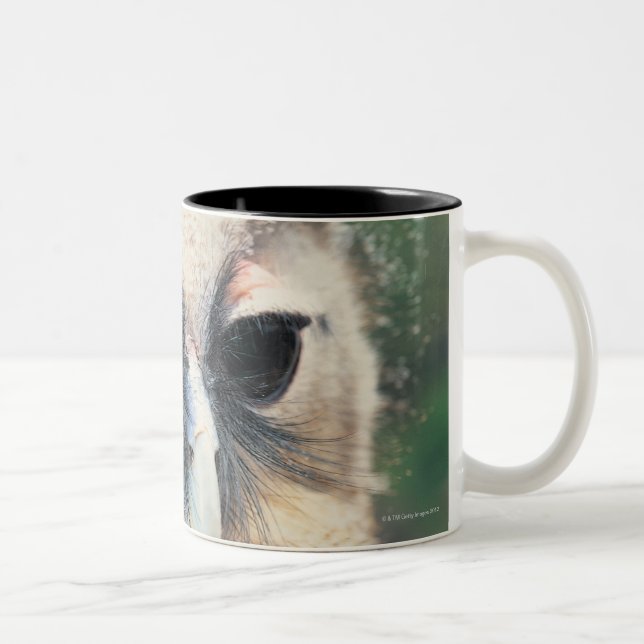 Caneca De Café Em Dois Tons Pisc a coruja (Direita)