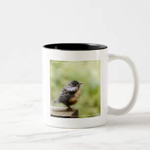 Caneca De Café Em Dois Tons Pisco de peito vermelho novo