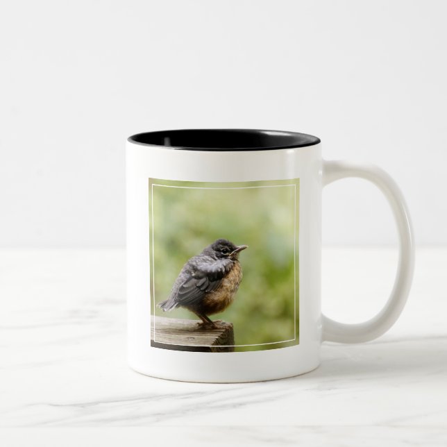 Caneca De Café Em Dois Tons Pisco de peito vermelho novo (Direita)