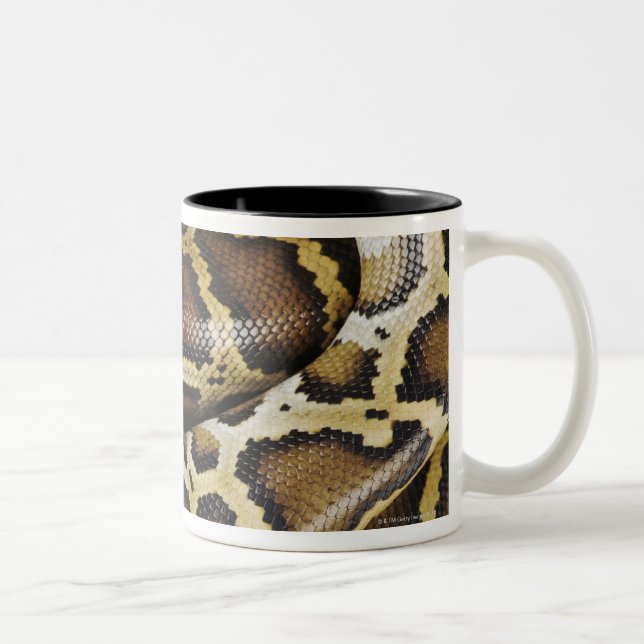 Caneca De Café Em Dois Tons Pitão Burmese (Direita)
