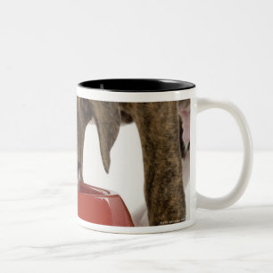 Caneca De Café Em Dois Tons Pitbull do filhote de cachorro que come fora do