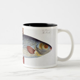 Caneca De Café Em Dois Tons Placa II da barata (Cyprinus Rutilis) 'de