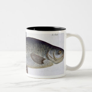 Caneca De Café Em Dois Tons Placa VI do caboz (Cyprinus Jeses) 'de