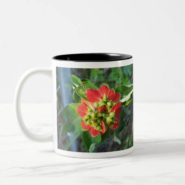 Caneca De Café Em Dois Tons Poinsettia selvagem (Esquerda)