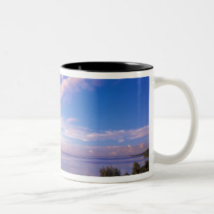 Caneca De Café Em Dois Tons Polinésia Francesa, Moorea. Vista da Baie de