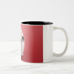 Caneca De Café Em Dois Tons Pomeranian no tapete vermelho