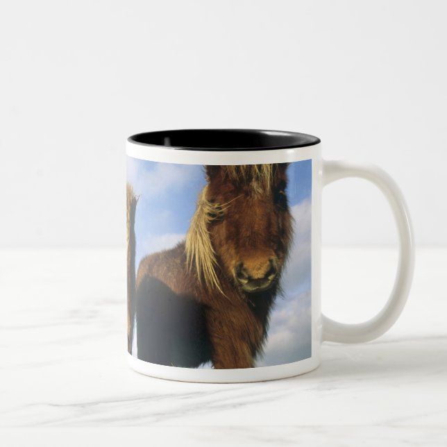Caneca De Café Em Dois Tons Pônei Shetland, ilhas Shetland continental, (Direita)