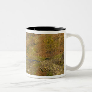 Caneca De Café Em Dois Tons Ponte Ashness, Lake District, Cumbria, Inglaterra