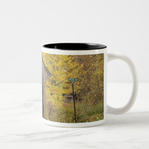 Caneca De Café Em Dois Tons Ponte coberta, Vermont, EUA 2