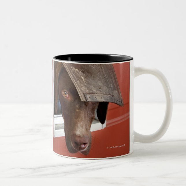 Caneca De Café Em Dois Tons Ponteiro alemão que olha fora, através do (Direita)