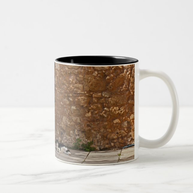 Caneca De Café Em Dois Tons Porta velha e gato de descanso (Direita)