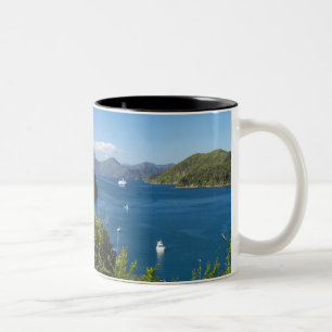 Caneca De Café Em Dois Tons Porto de Picton, Marlborough Sounds, Sul