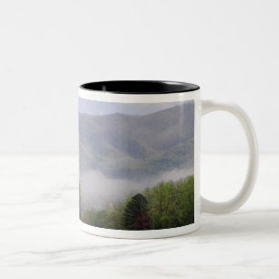 Caneca De Café Em Dois Tons Prado enevoado e Rich Mountain, Cades Cove,