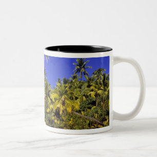 Caneca De Café Em Dois Tons Praia ladeada por palmeiras Ilhas Cook 6