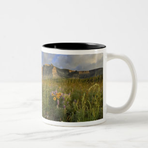 Caneca De Café Em Dois Tons Prairie Wildflower em Windy Creek nos Muitos