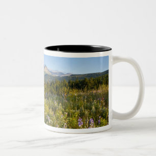 Caneca De Café Em Dois Tons Prairie wilflower e Lower Two Medicine Lake