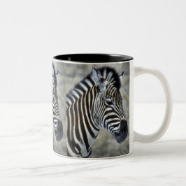 Caneca De Café Em Dois Tons Presentes de Arte de Zebra Amantes