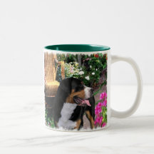 Presentes de Arte para Cachorros na Grande Suíça