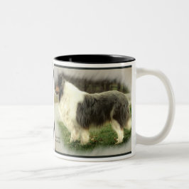 Caneca De Café Em Dois Tons Presentes de Collie Rough Rough Blue