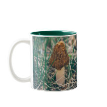 Primavera Morel Mushroom