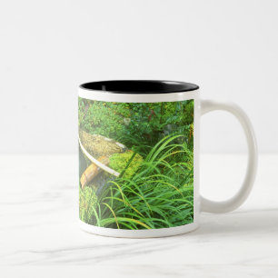 Caneca De Café Em Dois Tons Primavera para Cerimônia do Chá, Templo Sanzen-in,