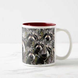 Caneca De Café Em Dois Tons Problema do Racoon