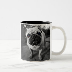 Caneca De Café Em Dois Tons Pug considerável