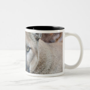 Caneca De Café Em Dois Tons Puma, leão-da-montanha, pantera-da-flórida, Puma