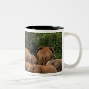 Caneca De Café Em Dois Tons Quênia: Parque Nacional de Tsavo East, rebanho afr