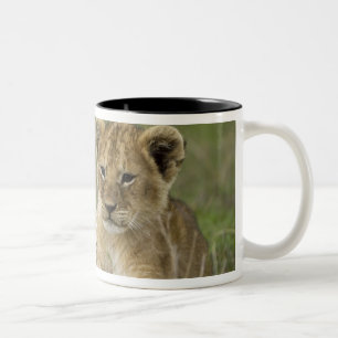 Caneca De Café Em Dois Tons Quênia, Reserva de Caça Masai Mara. Leão-africano