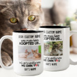 Caneca De Café Em Dois Tons Querido Gato Engraçado Dizendo | Nome e foto de ga<br><div class="desc">Essa é uma citação hilária e relativa! A caneca personalizada com uma foto do seu gato dizendo "Você pode ter me adotado, mas estou bonito de que sou dono de você" é uma maneira excelente de se divertir com a percepção comum de que os gatos governam o barulho. A caneca...</div>