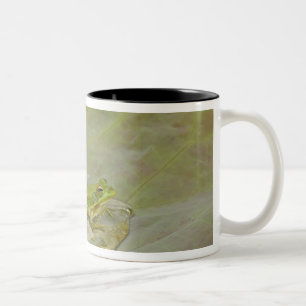 Caneca De Café Em Dois Tons Rã e pétala de flor de lótus, China,