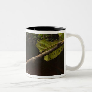 Caneca De Café Em Dois Tons Rã folha gigante (Phyllomedusa bicolor) 2