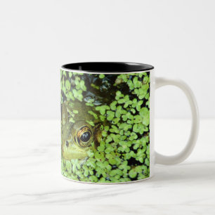 Caneca De Café Em Dois Tons Rã-gigante (adspersus de Pyxicephalus) na