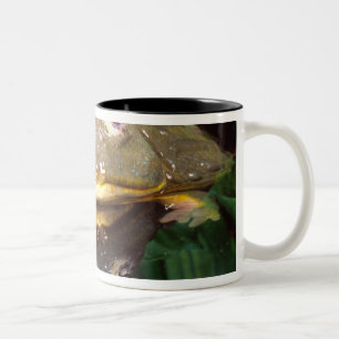 Caneca De Café Em Dois Tons Rã Touro Africana Subterrânea, Pyxicephalus 2