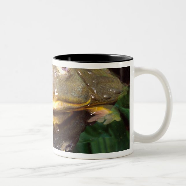 Caneca De Café Em Dois Tons Rã Touro Africana Subterrânea, Pyxicephalus 2 (Direita)