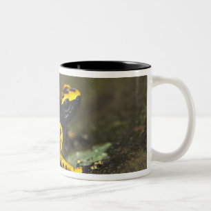 Caneca De Café Em Dois Tons Rã-venenosa-de-banda-amarela Dendrobates