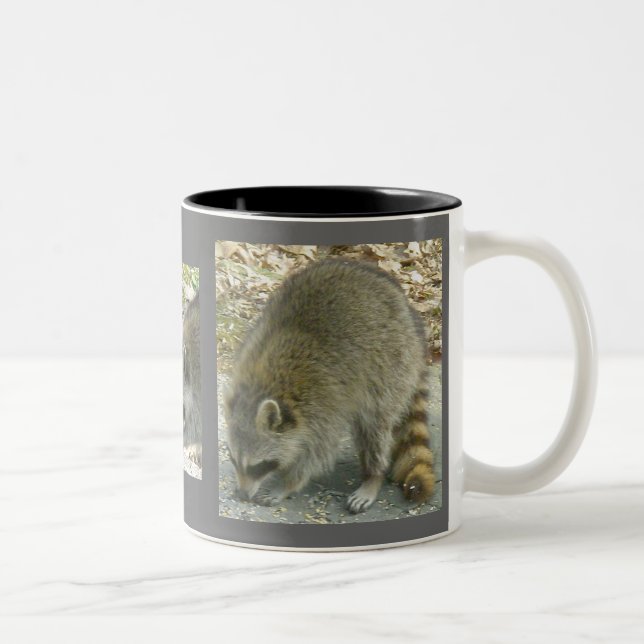 Caneca De Café Em Dois Tons Raccoon sobre Rock Mug (Direita)