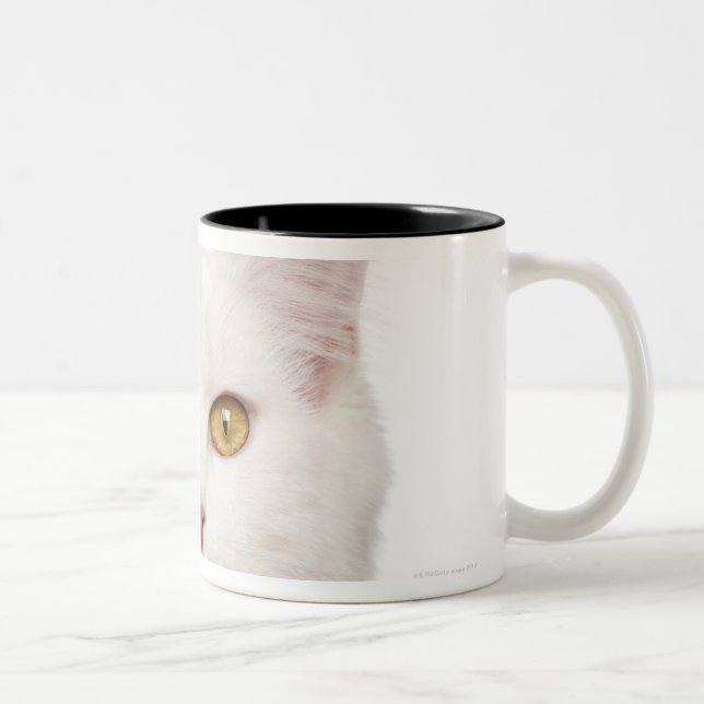 Caneca De Café Em Dois Tons Racum de Maine (8 meses velho) 2 (Direita)