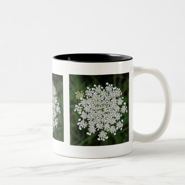 Caneca De Café Em Dois Tons Rainha Anne's Lace (Direita)