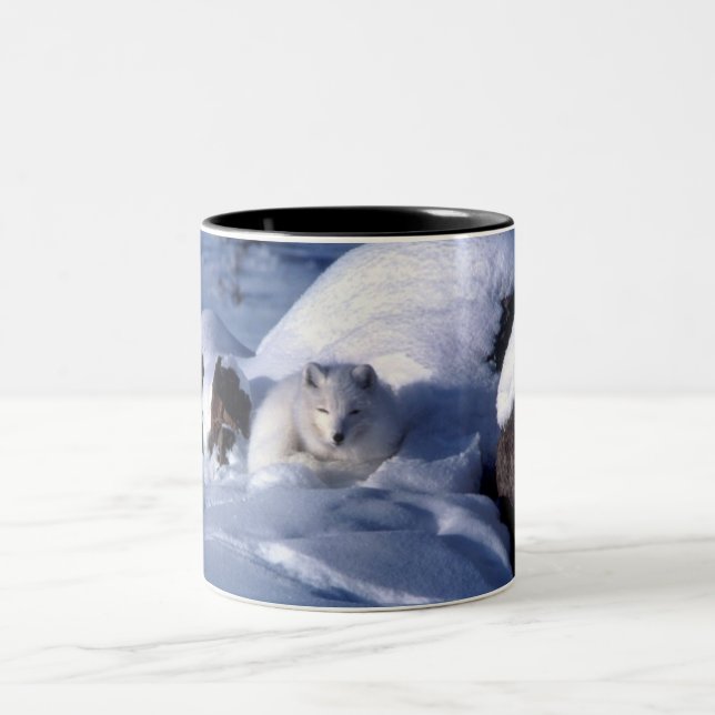 Caneca De Café Em Dois Tons Raposa Árctica em Neve (Centro)