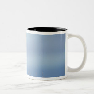 Caneca De Café Em Dois Tons raposa-vermelha, Vulpes vulpes