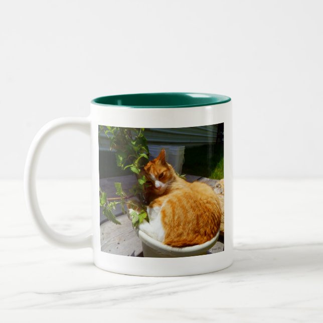 Caneca De Café Em Dois Tons Raspador em uma panela (Esquerda)