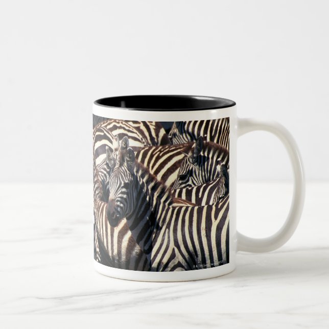 Caneca De Café Em Dois Tons Rebanho das zebras (Direita)